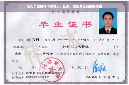 深入了解银行借方流水，认识、解读与高效做账指南