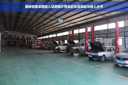 揭秘安徽阜阳收入证明图片背后的生活现状与收入水平