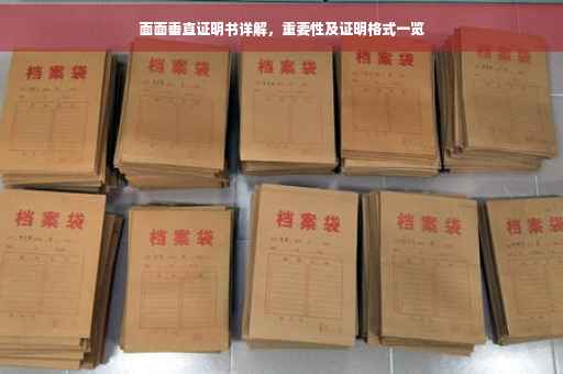 面面垂直证明书详解，重要性及证明格式一览
