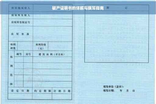 破产证明书的详解与撰写指南