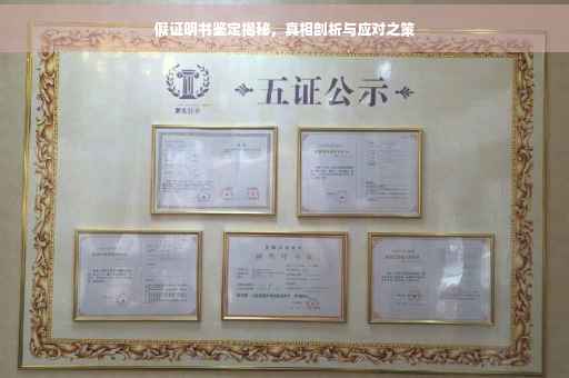 假证明书鉴定揭秘，真相剖析与应对之策