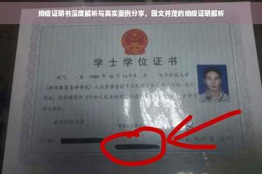 绝症证明书深度解析与真实案例分享，图文并茂的绝症证明解析