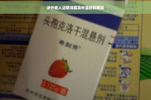 涉外收入证明详解及所需材料概览