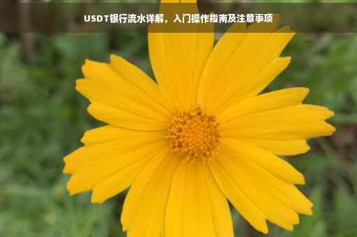 USDT银行流水详解，入门操作指南及注意事项