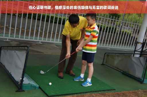 伤心证明书歌，情感深处的哀伤旋律与无言的歌词诉说