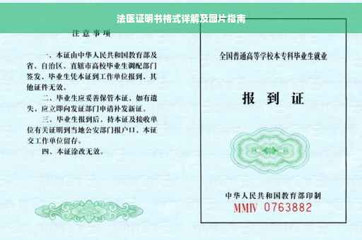 法医证明书格式详解及图片指南