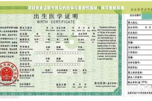 项目资金证明书背后的故事与重要性揭秘，撰写模板指南