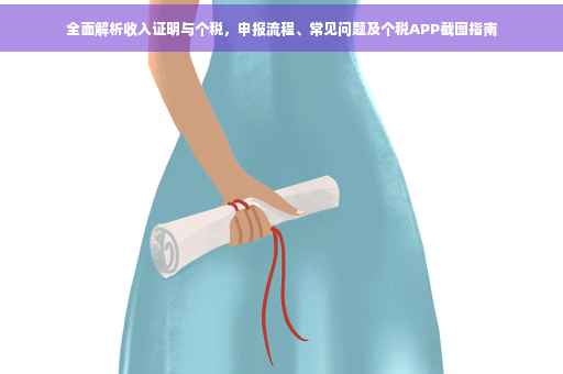 全面解析收入证明与个税，申报流程、常见问题及个税APP截图指南