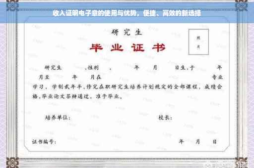 收入证明电子章的使用与优势，便捷、高效的新选择