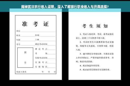 揭秘武汉农行收入证明，深入了解银行职业收入与开具流程?