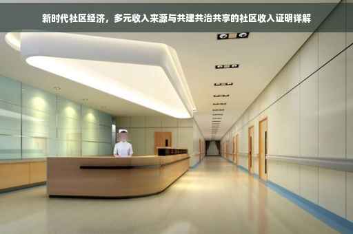 新时代社区经济，多元收入来源与共建共治共享的社区收入证明详解