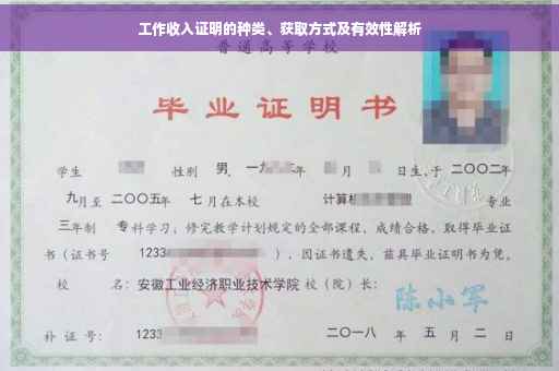工作收入证明的种类、获取方式及有效性解析