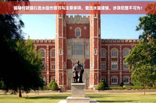 揭秘付款银行流水操作细节与注意事项，查流水需谨慎，涉及犯罪不可为！
