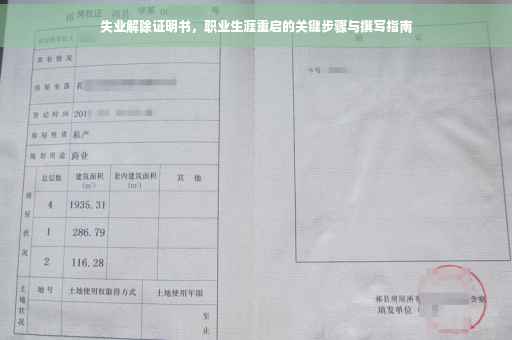 失业解除证明书，职业生涯重启的关键步骤与撰写指南