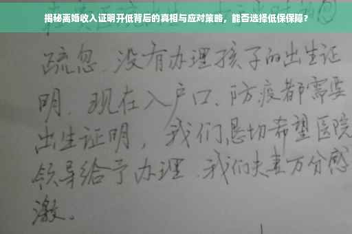 揭秘离婚收入证明开低背后的真相与应对策略，能否选择低保保障？
