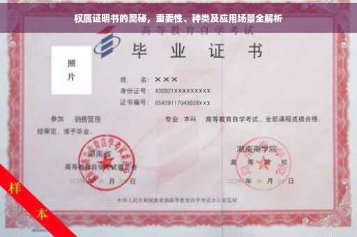 权属证明书的奥秘，重要性、种类及应用场景全解析