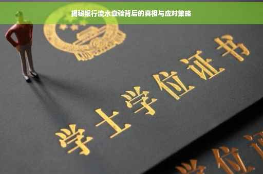 揭秘银行流水查验背后的真相与应对策略