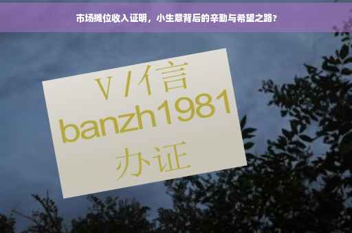 市场摊位收入证明，小生意背后的辛勤与希望之路?