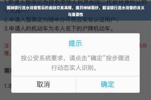 揭秘银行流水待查背后的金融交易真相，揭开神秘面纱，解读银行流水待查的含义与重要性