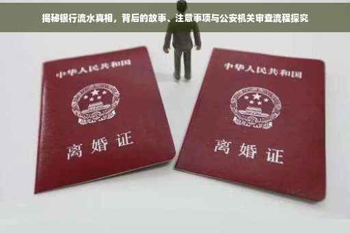揭秘银行流水真相，背后的故事、注意事项与公安机关审查流程探究