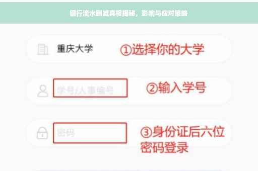 银行流水删减真相揭秘，影响与应对策略