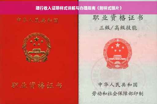 建行收入证明样式详解与办理指南（附样式图片）