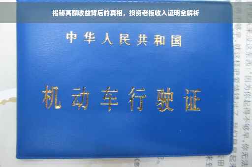 揭秘高额收益背后的真相，投资老板收入证明全解析