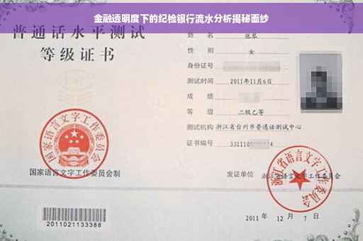 金融透明度下的纪检银行流水分析揭秘面纱