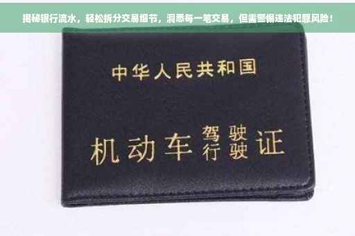 揭秘银行流水，轻松拆分交易细节，洞悉每一笔交易，但需警惕违法犯罪风险！