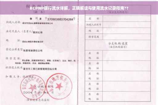 BCPNP银行流水详解，正确解读与使用流水记录指南??