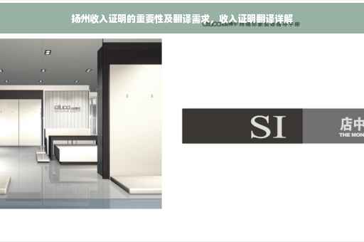 扬州收入证明的重要性及翻译需求，收入证明翻译详解