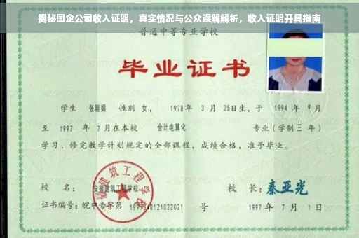 揭秘国企公司收入证明，真实情况与公众误解解析，收入证明开具指南