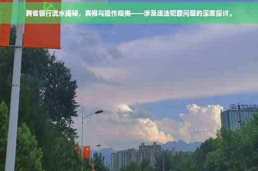 跨省银行流水揭秘，真相与操作指南——涉及违法犯罪问题的深度探讨。