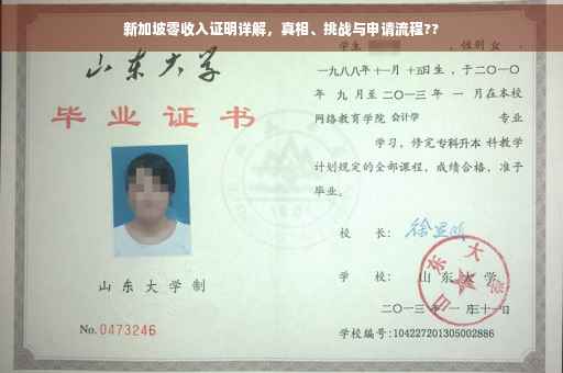 新加坡零收入证明详解，真相、挑战与申请流程??