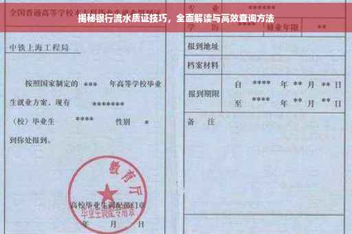 揭秘银行流水质证技巧，全面解读与高效查询方法