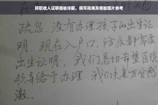 辞职收入证明模板详解，撰写指南及模板图片参考