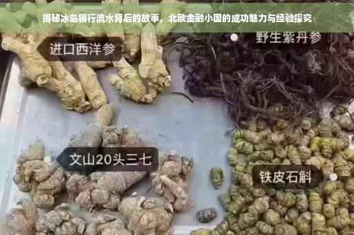 揭秘冰岛银行流水背后的故事，北欧金融小国的成功魅力与经验探究