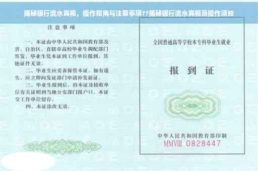 揭秘银行流水真相，操作指南与注意事项??揭秘银行流水真相及操作须知