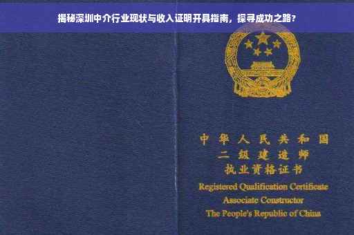 揭秘深圳中介行业现状与收入证明开具指南，探寻成功之路?