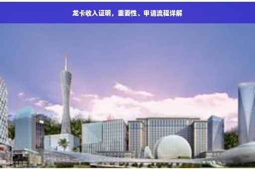 龙卡收入证明，重要性、申请流程详解