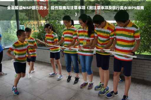 全面解读NISP银行流水，操作指南与注意事项（附注意事项及银行流水IBPS指南）
