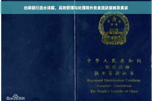 出境银行流水详解，高效管理与处理境外资金流动策略及要求