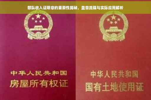 部队收入证明章的重要性揭秘，盖章流程与实际应用解析