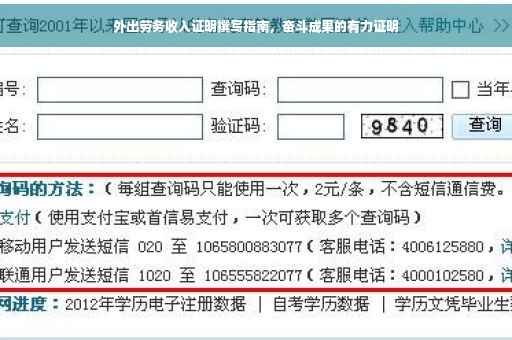 外出劳务收入证明撰写指南，奋斗成果的有力证明