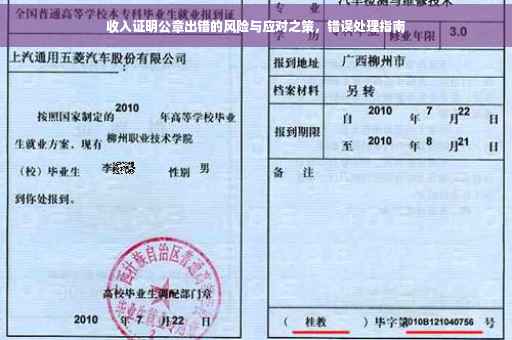 收入证明公章出错的风险与应对之策，错误处理指南