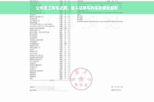 公司员工购车之路，收入证明与购车攻略全解析