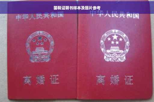 国税证明书样本及图片参考