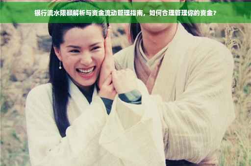 银行流水限额解析与资金流动管理指南，如何合理管理你的资金？