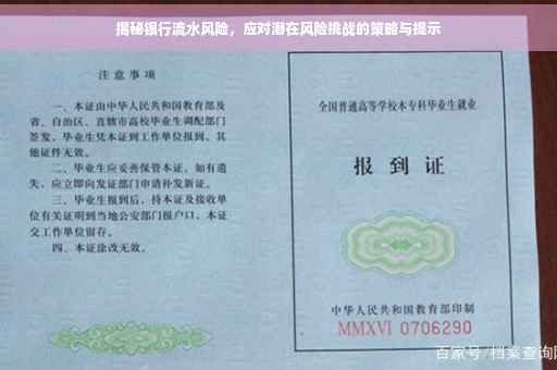 揭秘银行流水风险，应对潜在风险挑战的策略与提示