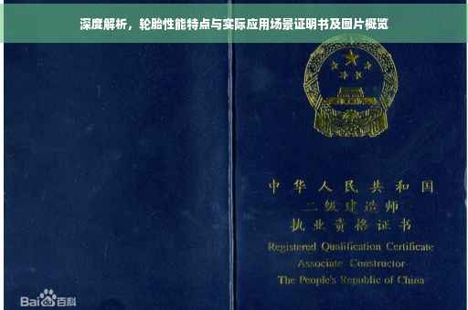 深度解析，轮胎性能特点与实际应用场景证明书及图片概览